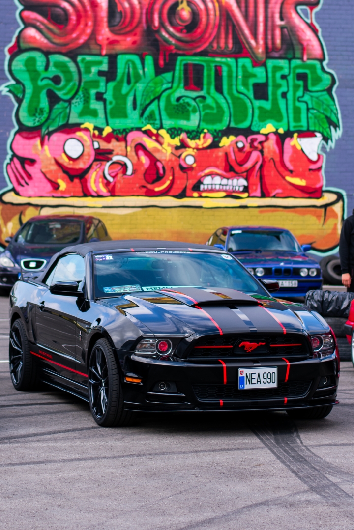 Memel Bass dB Drag #2 | 2025